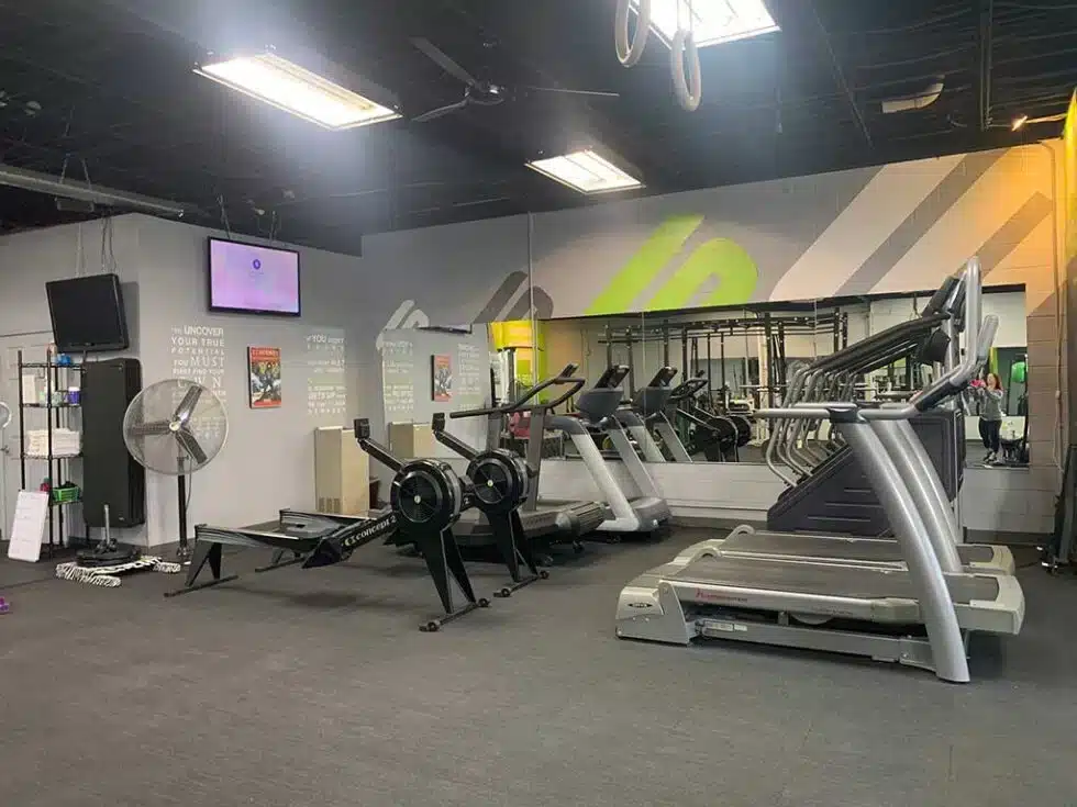 Treadmills, rowing machines, and cardio equipment inside Shape Plus Denver