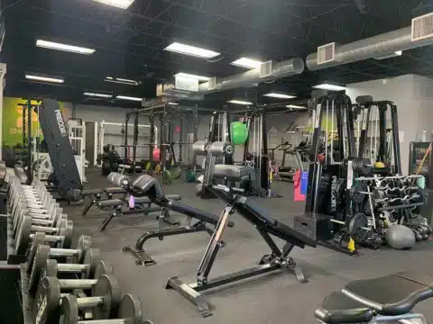 Dumbbells, benches, and resistance equipment inside Shape Plus Denver